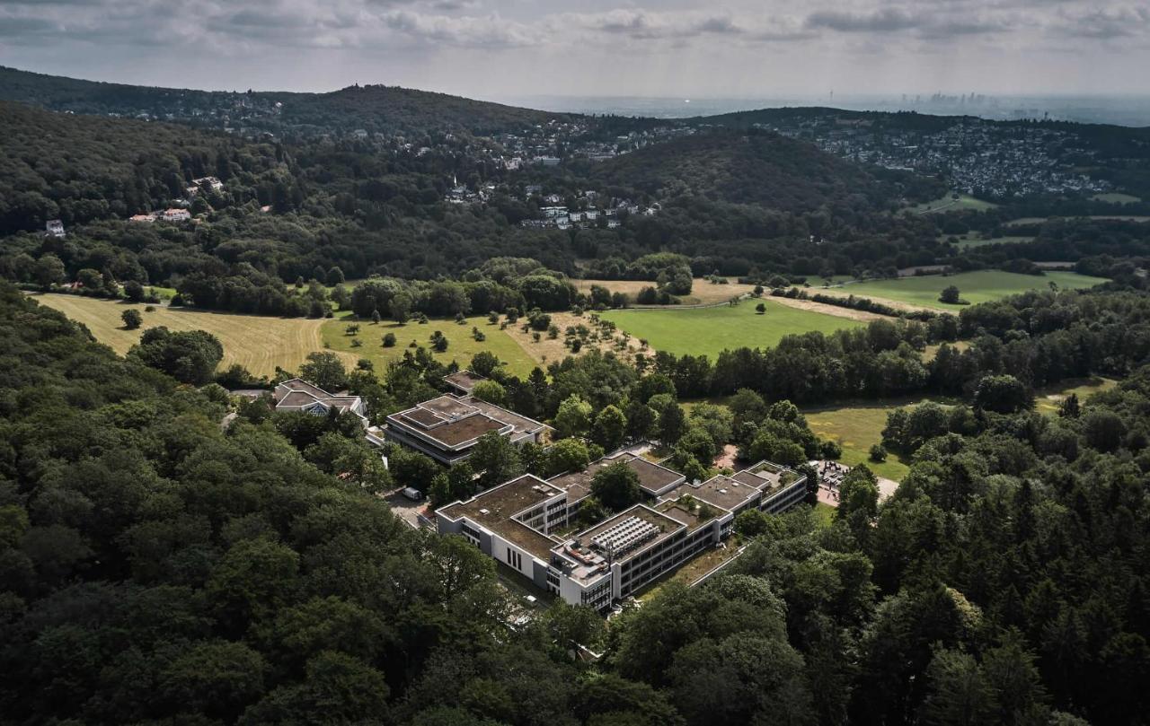 Bold Campus Hotell Königstein im Taunus Exteriör bild