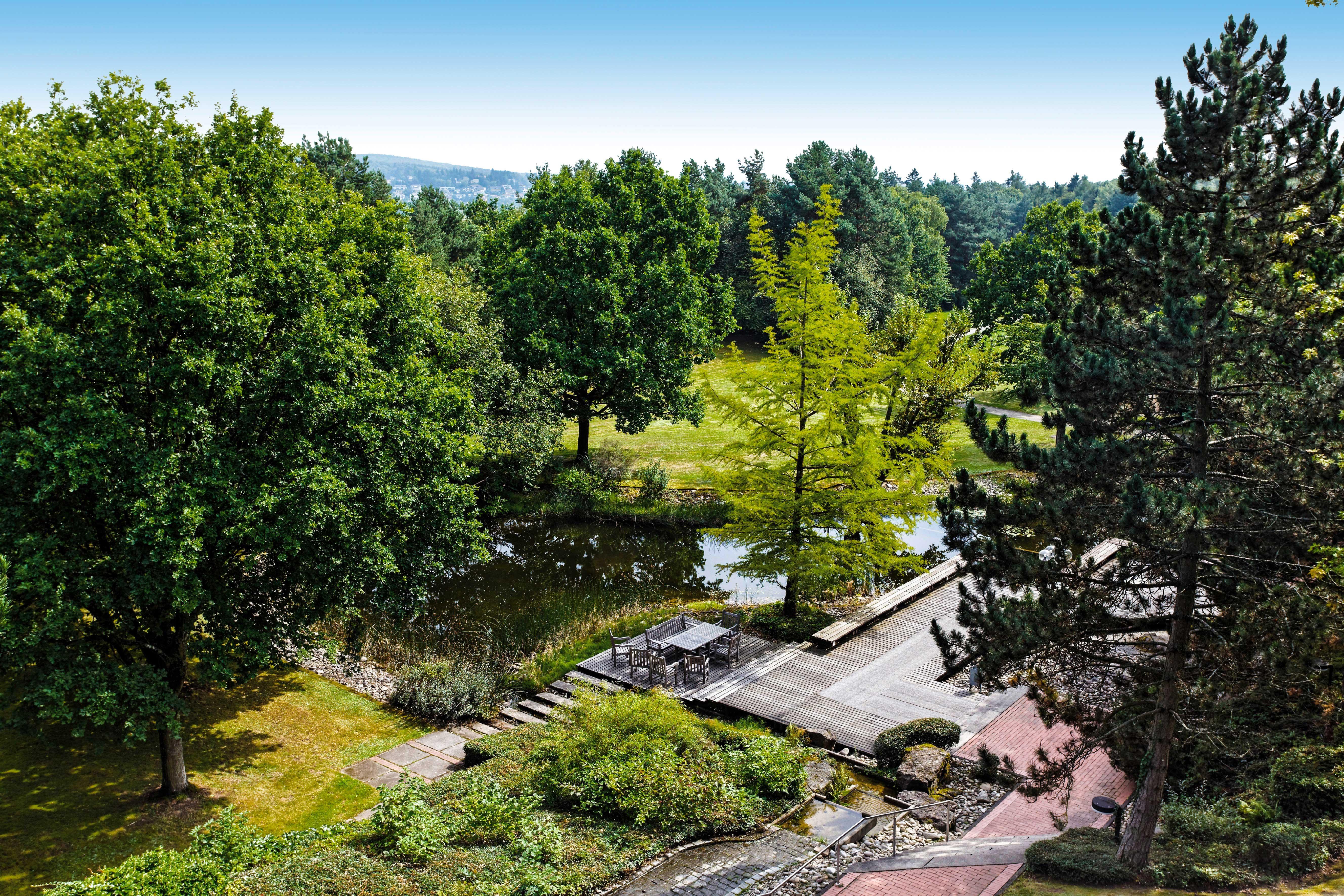 Bold Campus Hotell Königstein im Taunus Exteriör bild