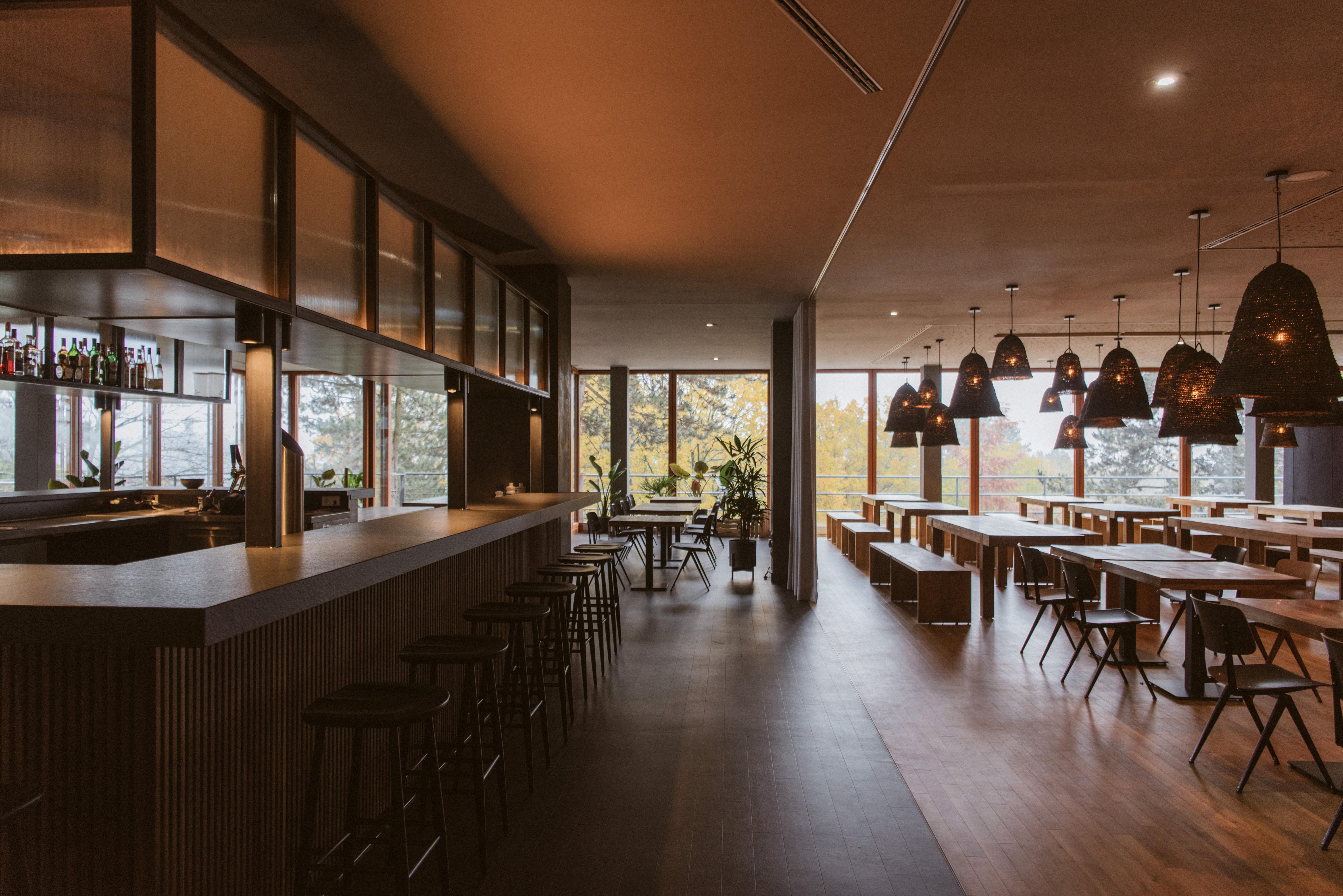 Bold Campus Hotell Königstein im Taunus Exteriör bild